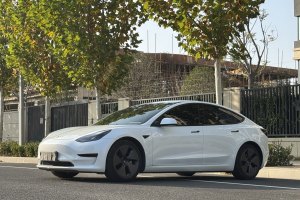 Model 3 特斯拉 改款 后輪驅(qū)動版