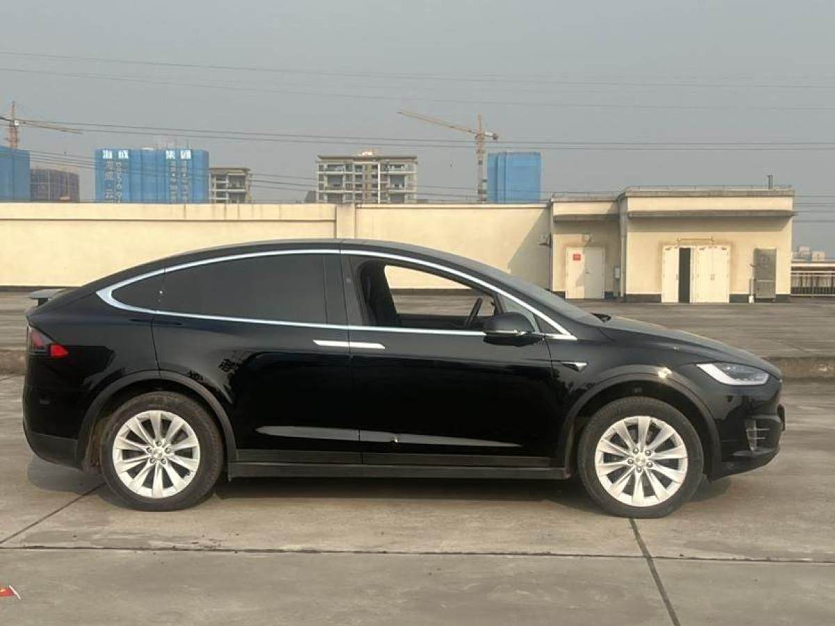 特斯拉 Model X  2020款 長續(xù)航升級版圖片