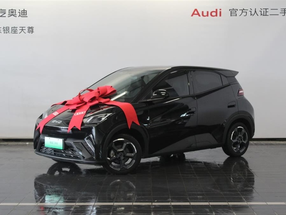 比亞迪 海鷗  2024款 榮耀版 405km 飛翔版圖片