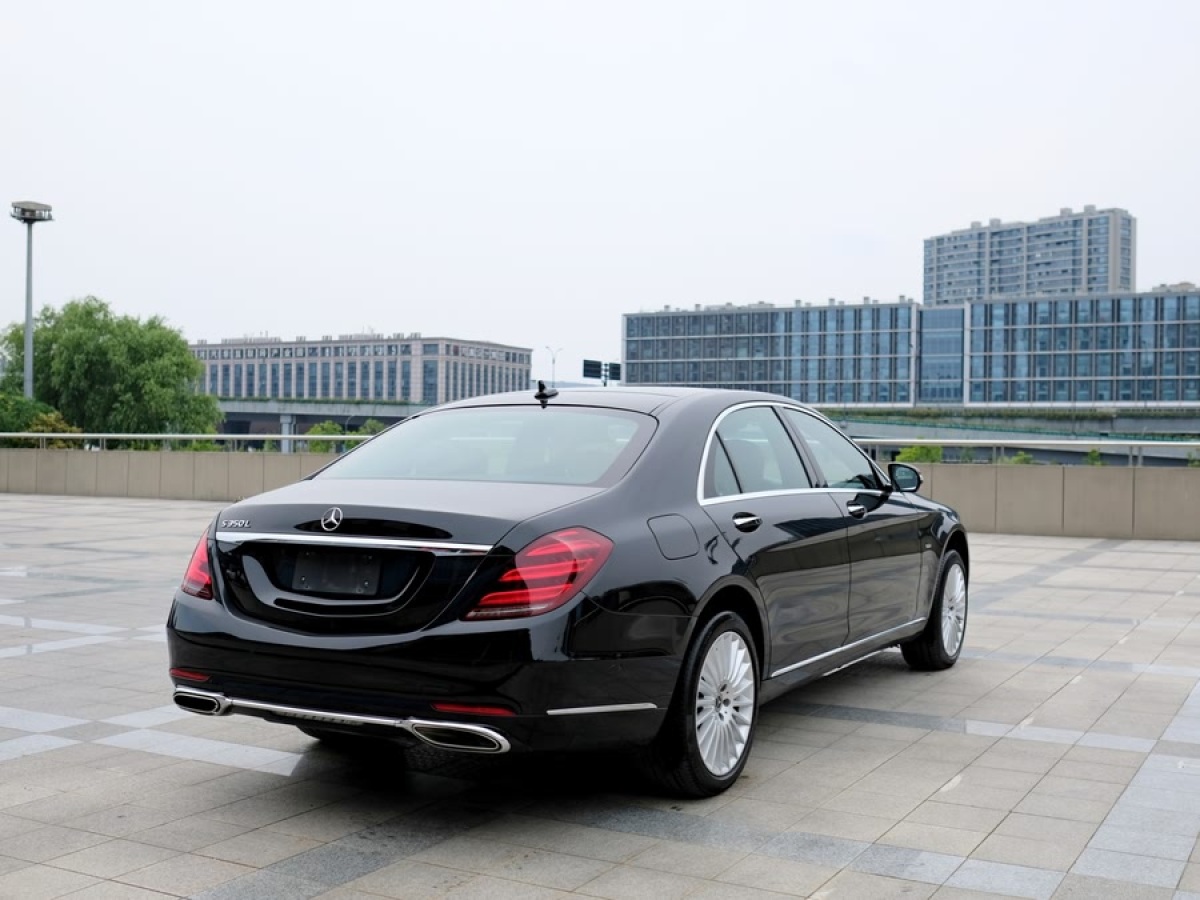 奔馳 奔馳S級  2020款 S 350 L 商務型 臻藏版圖片
