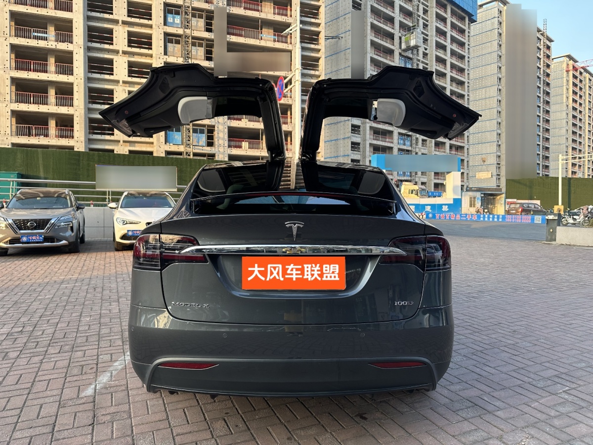 特斯拉 Model X  2017款 Model X 100D 長續(xù)航版圖片