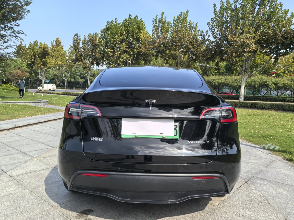 特斯拉 Model Y  2022款 后輪驅(qū)動版圖片