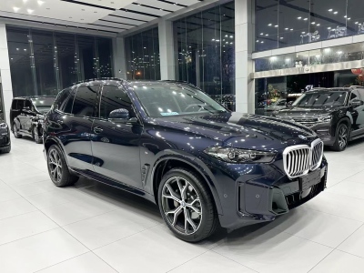 宝马 宝马X5  2023款 xDrive 30Li 尊享型M运动曜夜套装图片