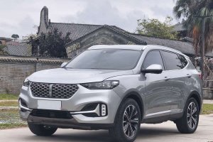 VV6 WEY 2.0T 兩驅(qū)智護+