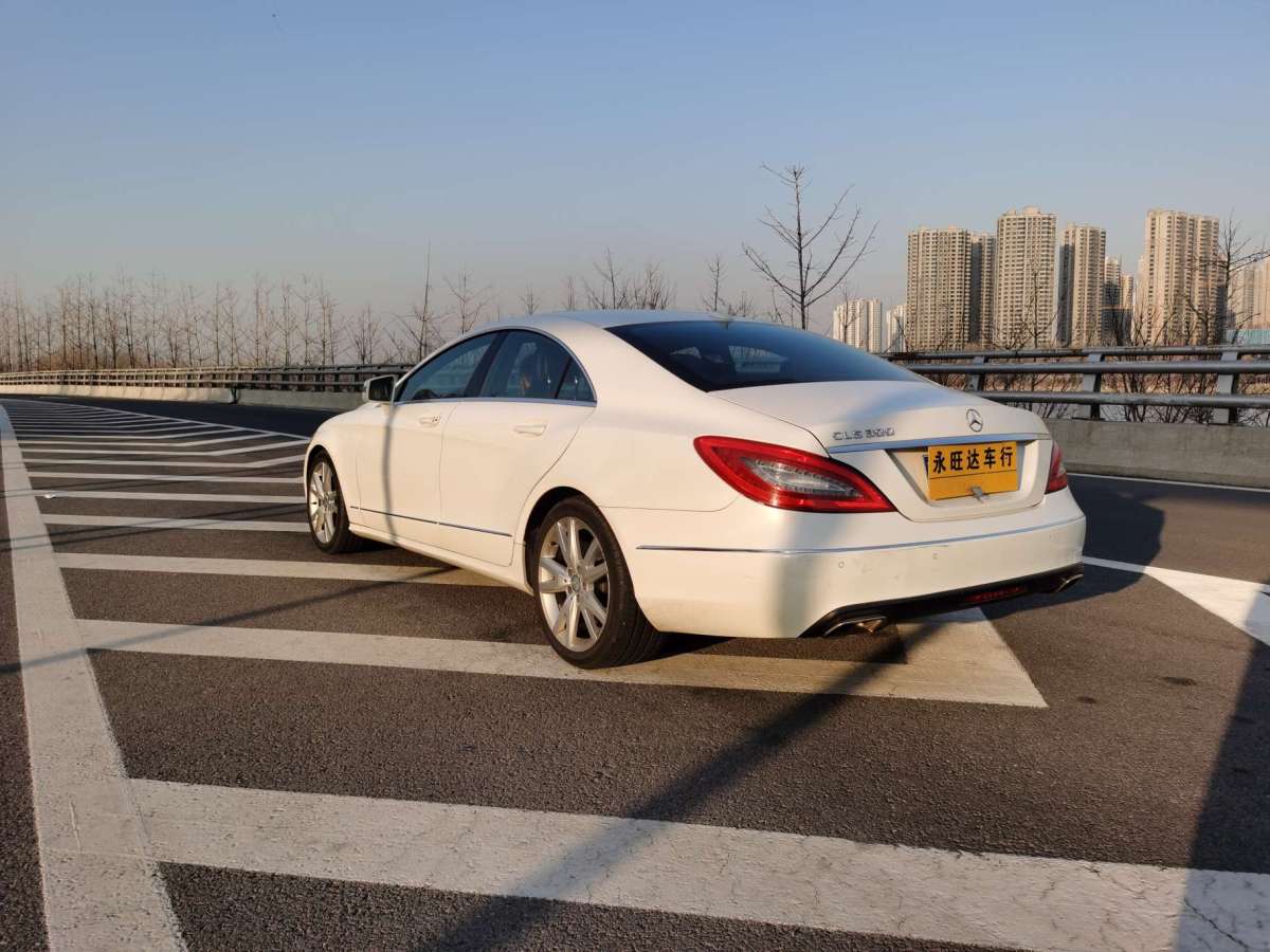 奔驰 奔驰cls级 2012款 cls 300 cgi图片