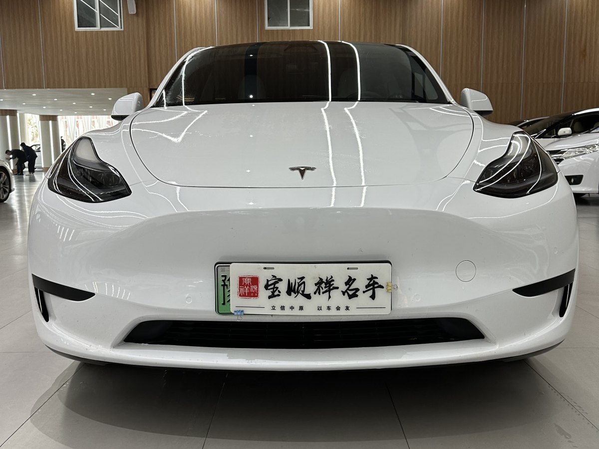 特斯拉 Model 3  2020款 改款 長續(xù)航后輪驅(qū)動版圖片