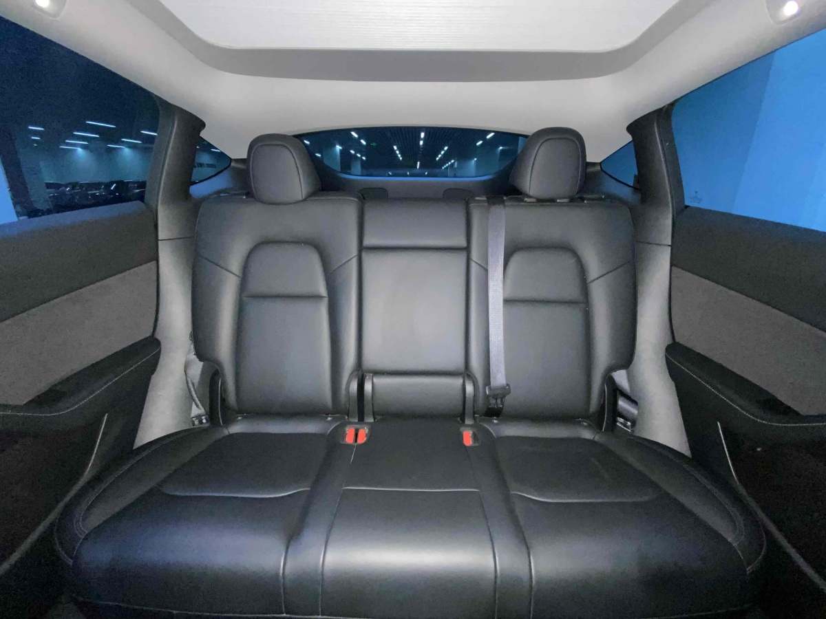 特斯拉 Model Y  2021款 長續(xù)航全輪驅(qū)動版 3D7圖片