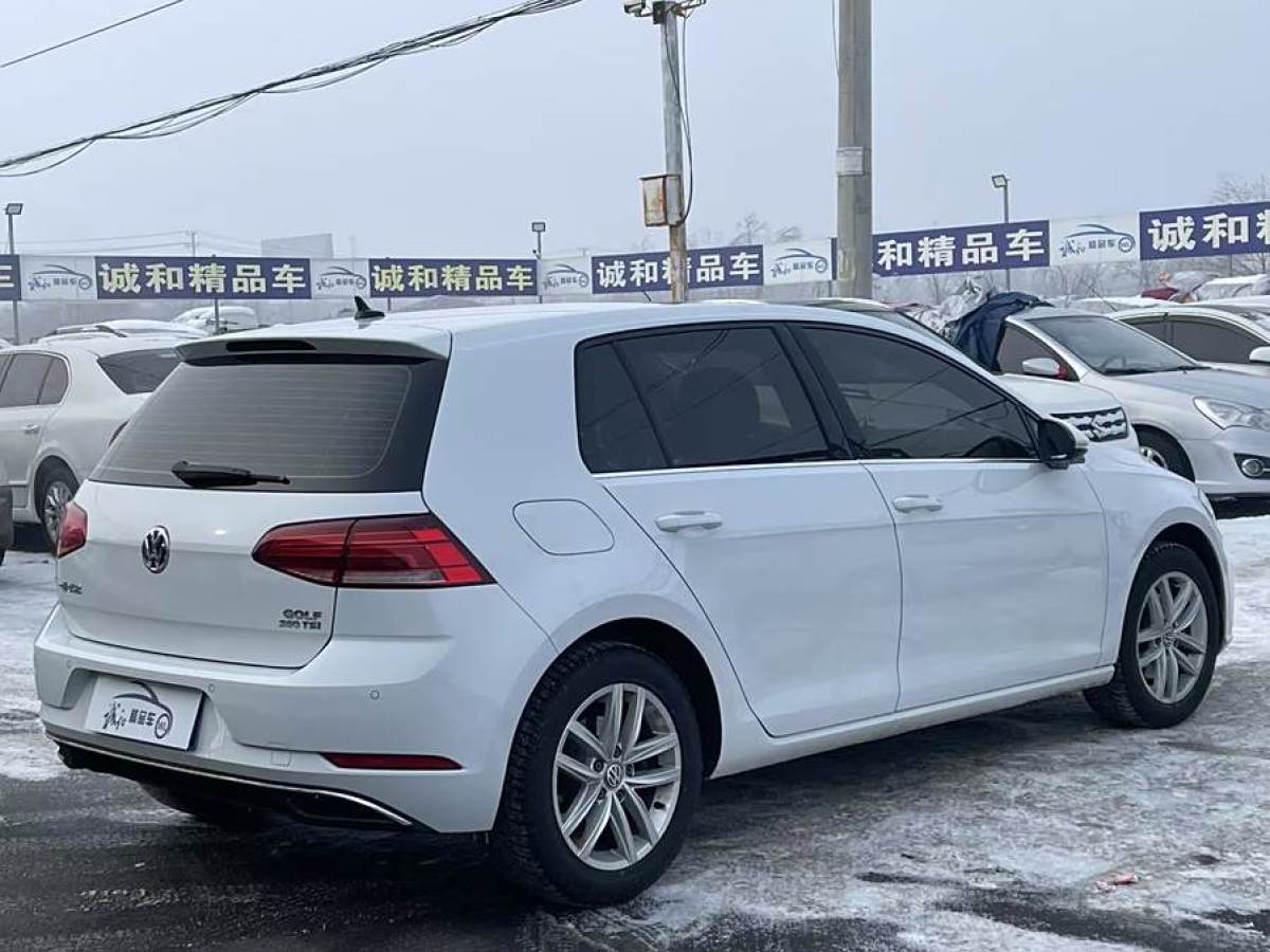 大眾 高爾夫  2019款  280TSI DSG舒適型 國(guó)VI圖片