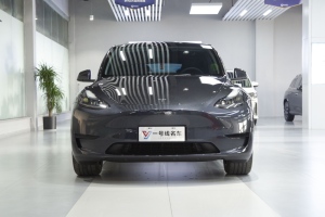 Model Y 特斯拉 后輪驅(qū)動(dòng)版