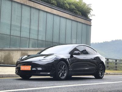 2021年10月 特斯拉 Model 3 改款 標(biāo)準(zhǔn)續(xù)航后驅(qū)升級(jí)版圖片