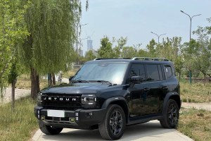 捷途山海T2 捷途 C-DM 129KM 林野版