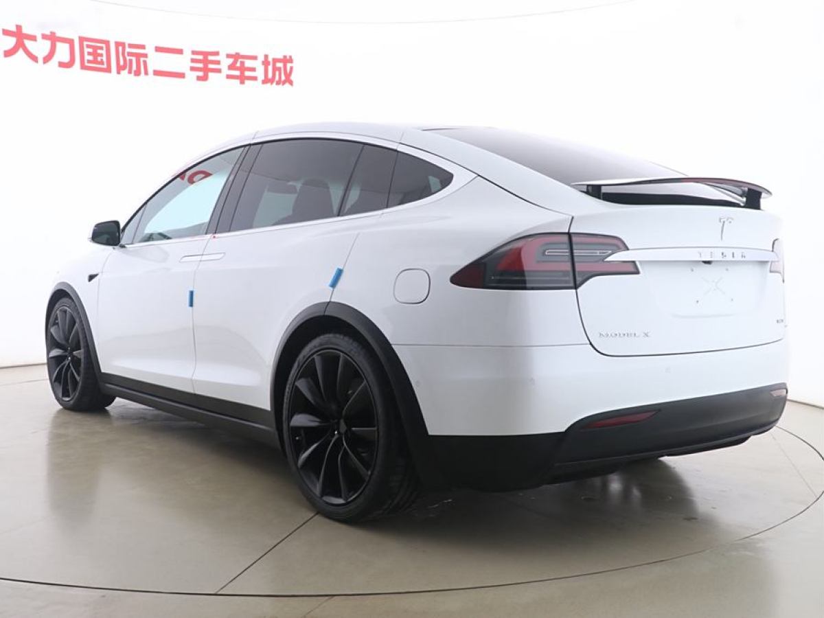 特斯拉 Model X  2017款 Model X 100D 長(zhǎng)續(xù)航版圖片