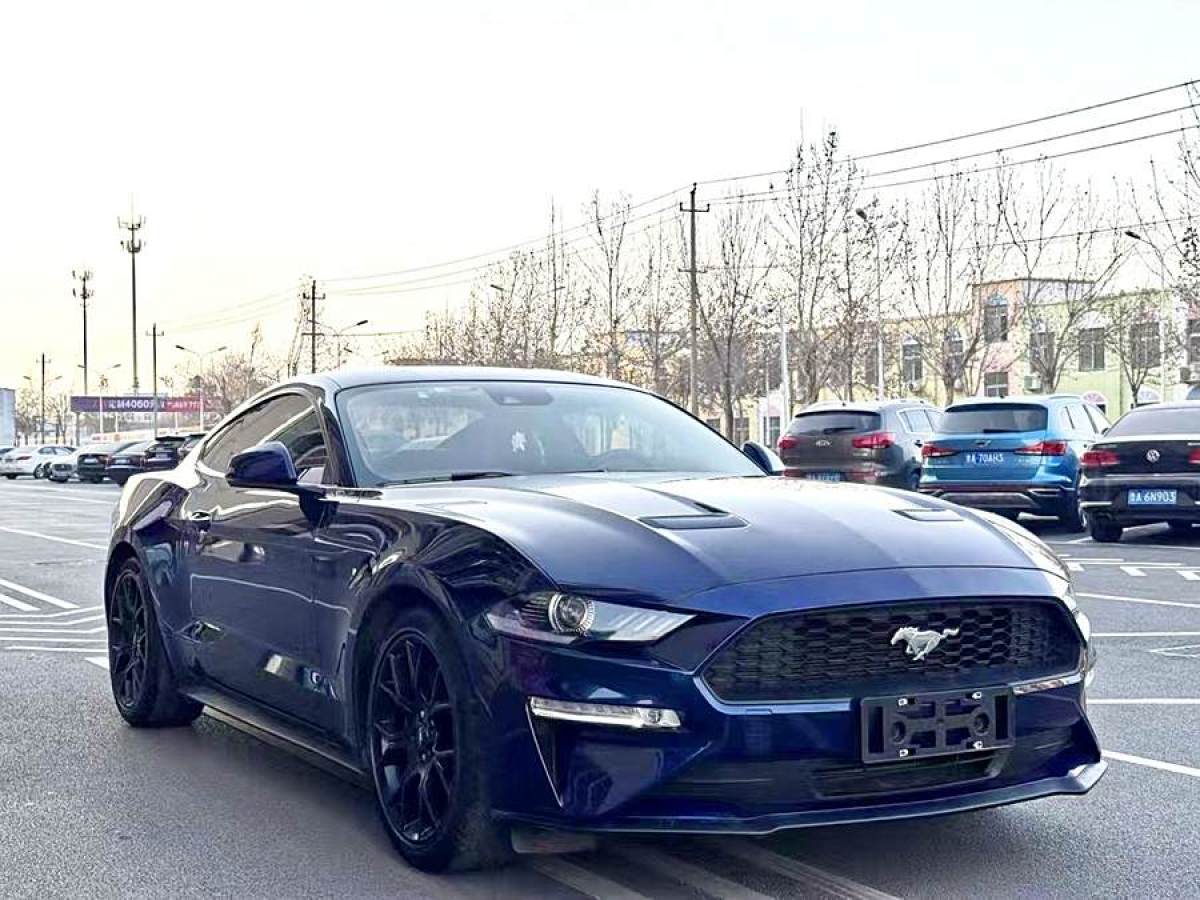 福特 Mustang  2019款 2.3L EcoBoost圖片