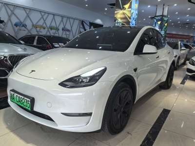 特斯拉 Model Y 長續(xù)航全輪驅(qū)動版圖片