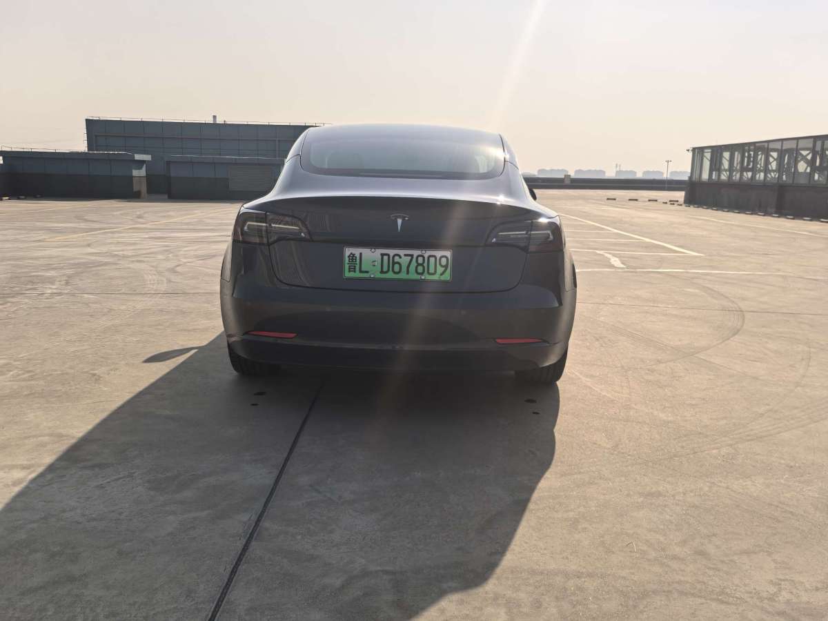 特斯拉 Model 3  2019款 長續(xù)航后驅(qū)版圖片