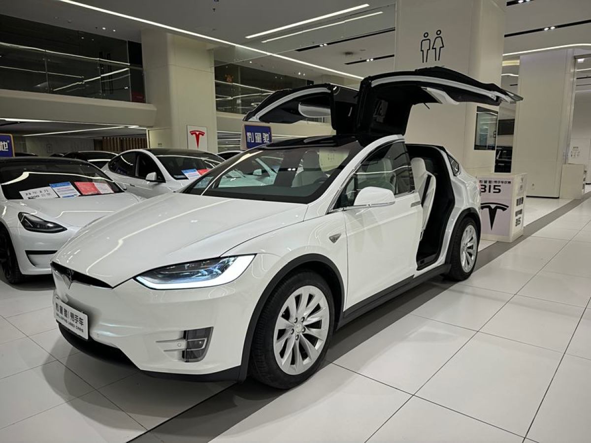 2016年10月特斯拉 Model X  2016款 Model X 90D