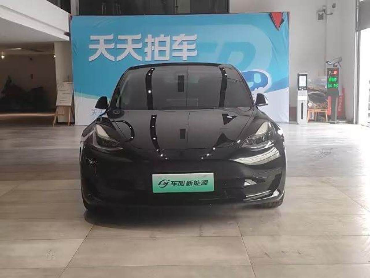 特斯拉 Model 3  2021款 改款 標(biāo)準(zhǔn)續(xù)航后驅(qū)升級(jí)版圖片