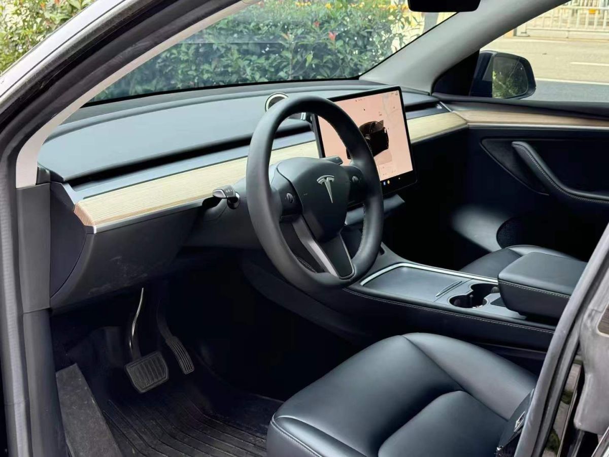 特斯拉 Model Y  2022款 Performance高性能全輪驅(qū)動版圖片