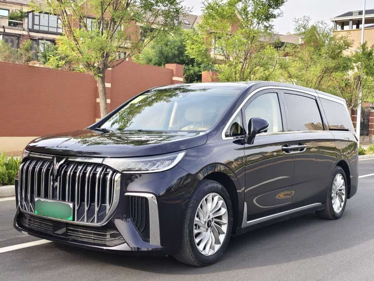 嵐圖 夢(mèng)想家  2024款 PHEV 超長(zhǎng)續(xù)航尊貴版圖片