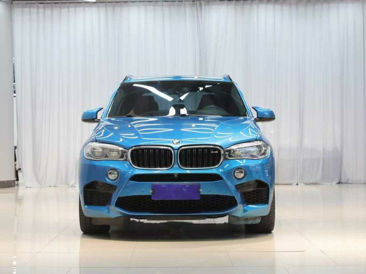 寶馬 寶馬X5新能源  2016款 xDrive40e圖片