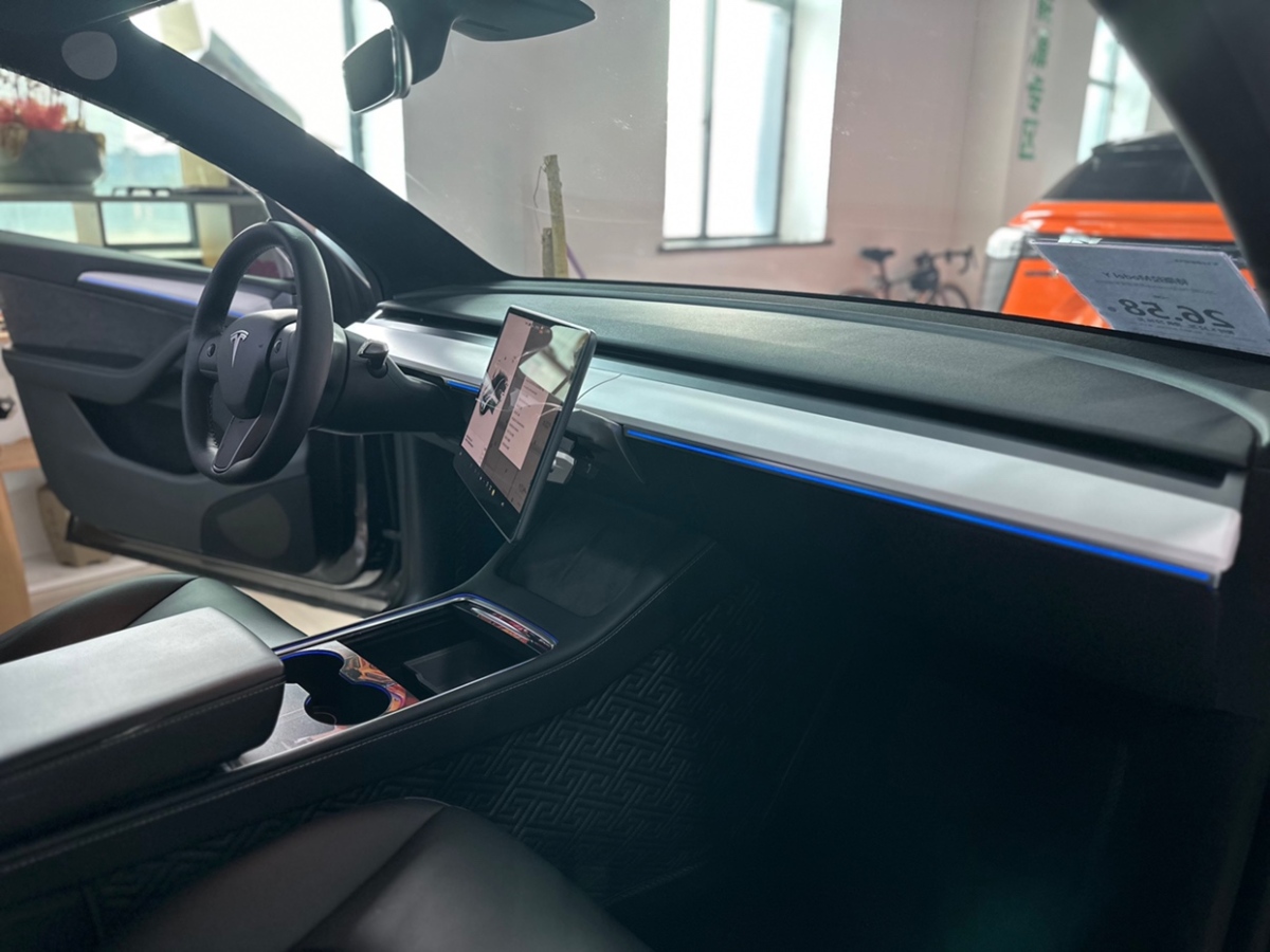 特斯拉 Model Y  2021款 Performance高性能全轮驱动版图片
