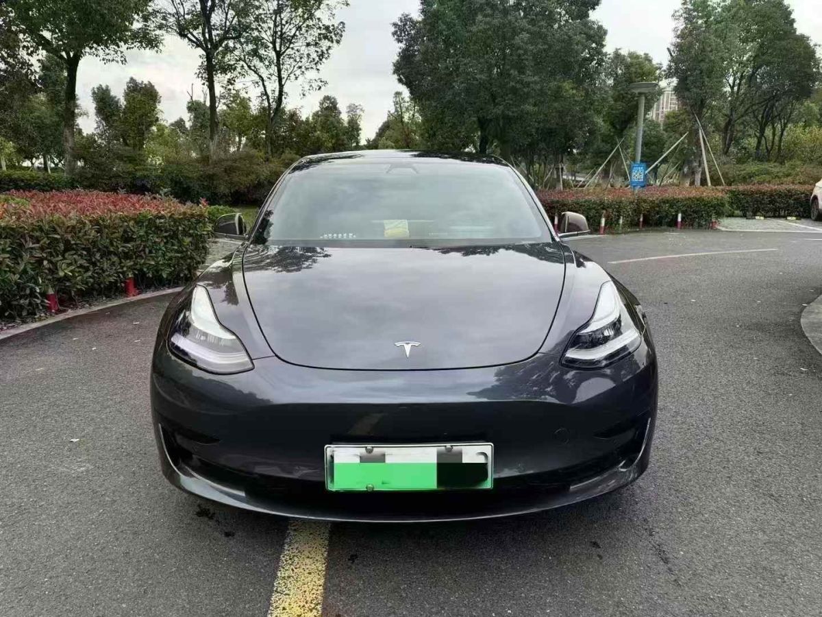 特斯拉 Model X  2020款 Performance 高性能版圖片