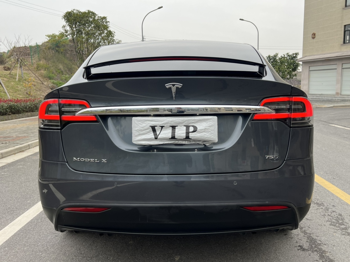 特斯拉 Model X  2019款 標準續(xù)航版圖片