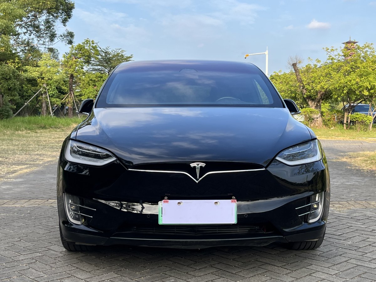 特斯拉 Model X  2016款 Model X 75D圖片