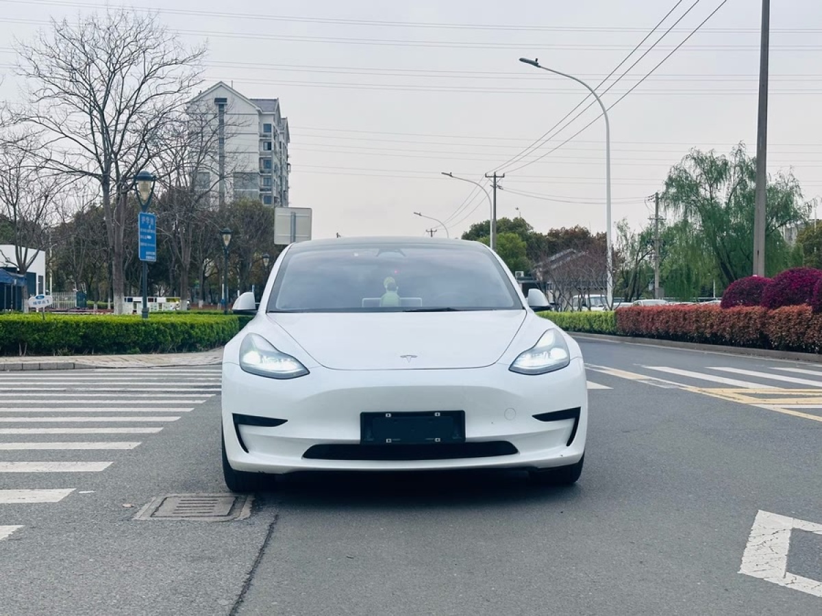 特斯拉 Model 3  2022款 后輪驅(qū)動(dòng)版圖片