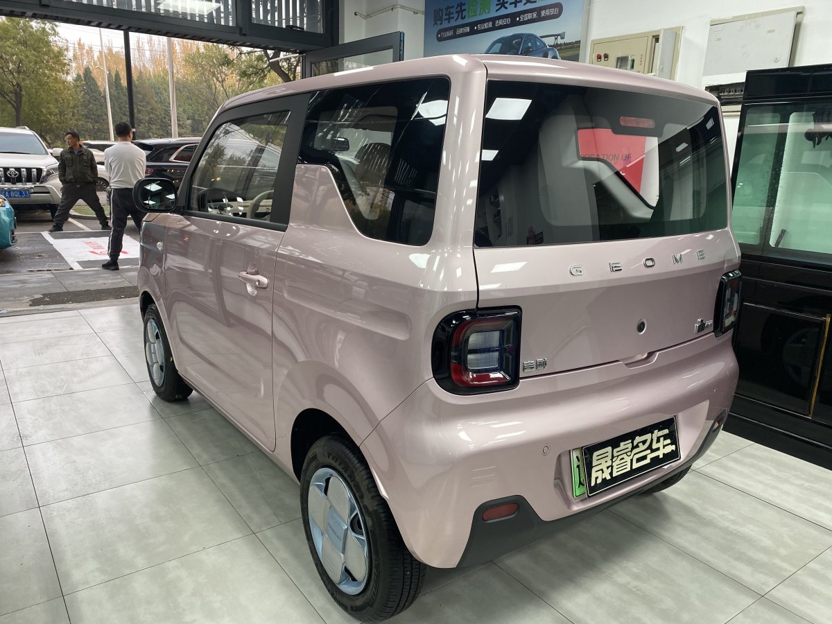 2024年8月吉利 熊貓mini  2023款 200km 耐力熊