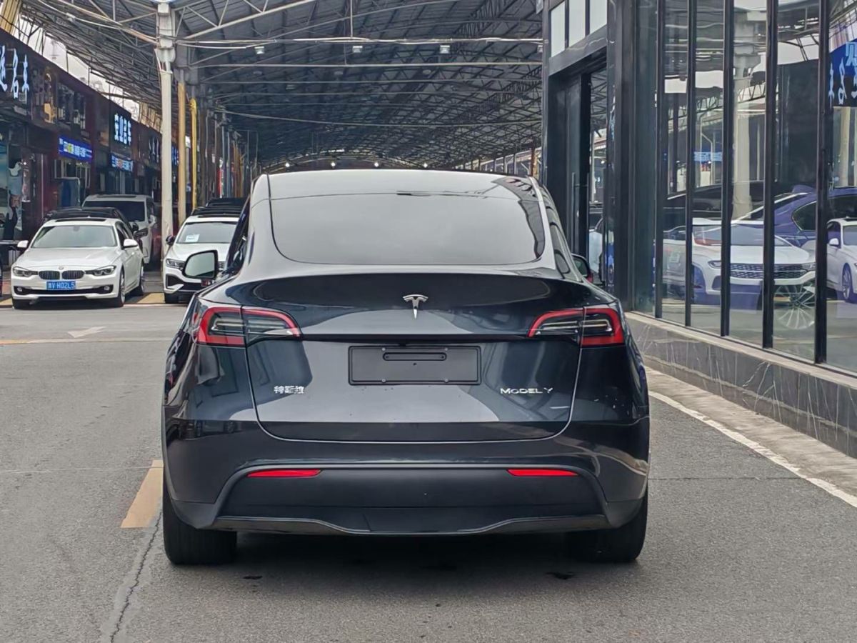 特斯拉 Model Y  2024款 Performance高性能版圖片