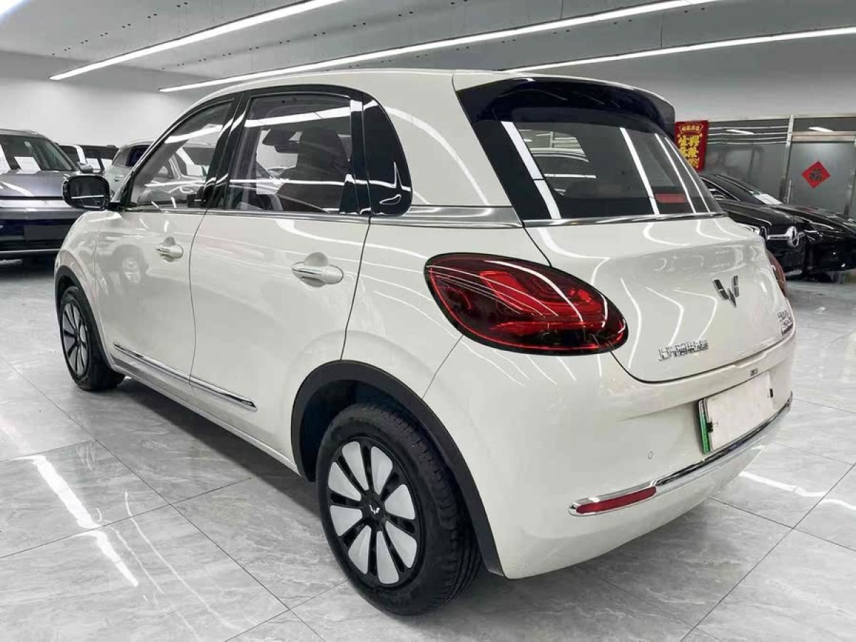 五菱 五菱繽果  2023款 203km 舒享款圖片
