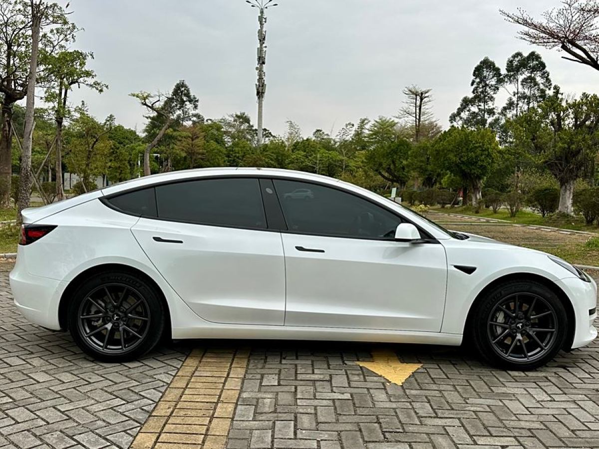 2021年3月特斯拉 Model 3  2021款 改款 標(biāo)準(zhǔn)續(xù)航后驅(qū)升級版