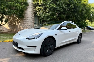 Model 3 特斯拉 改款 標準續(xù)航后驅升級版