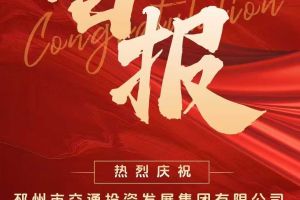 斑馬 成功 1.5L 單排加長-瓦楞板廂貨經(jīng)典型