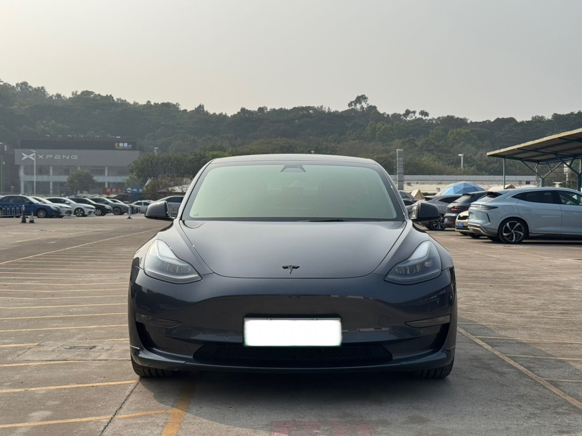 特斯拉 Model 3  2019款 Performance高性能全輪驅(qū)動版圖片