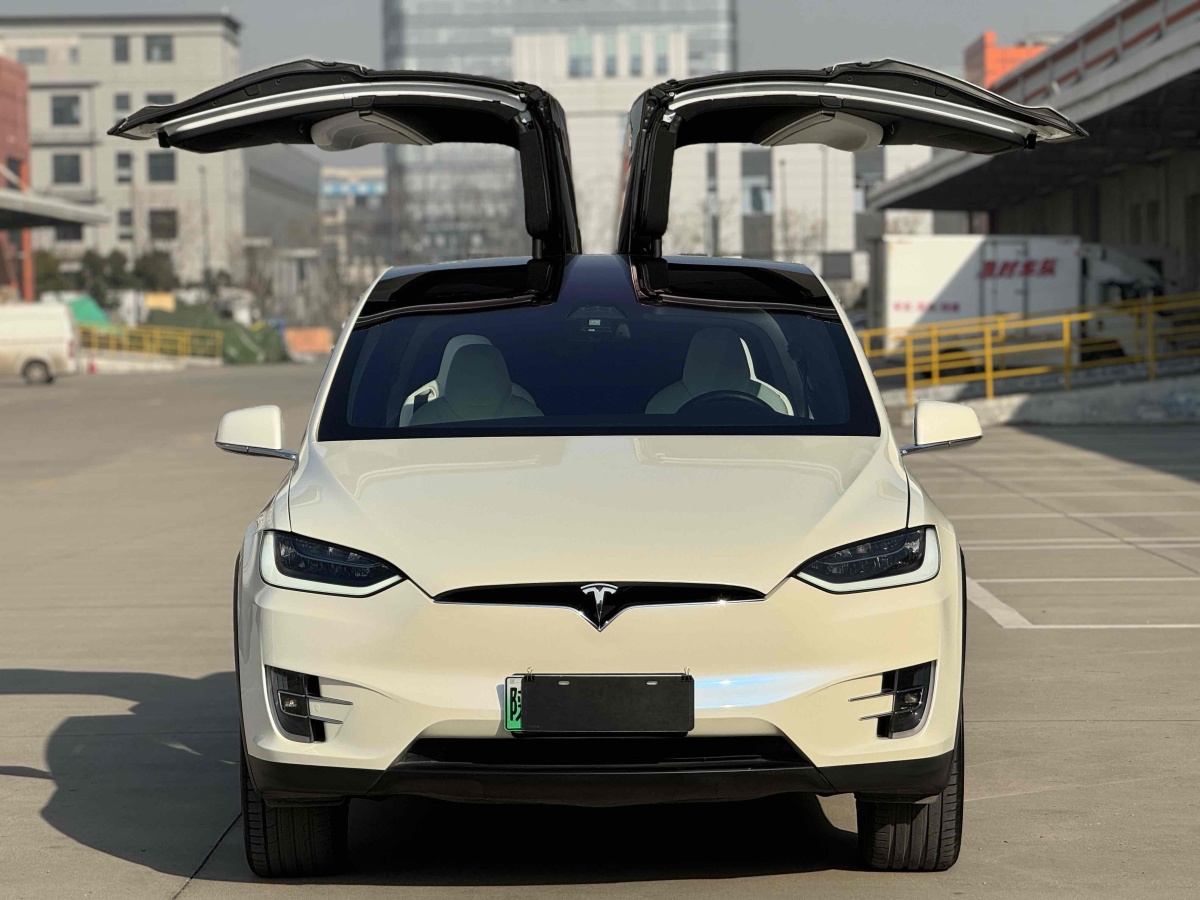 特斯拉 Model X  2017款 Model X 100D 長續(xù)航版圖片