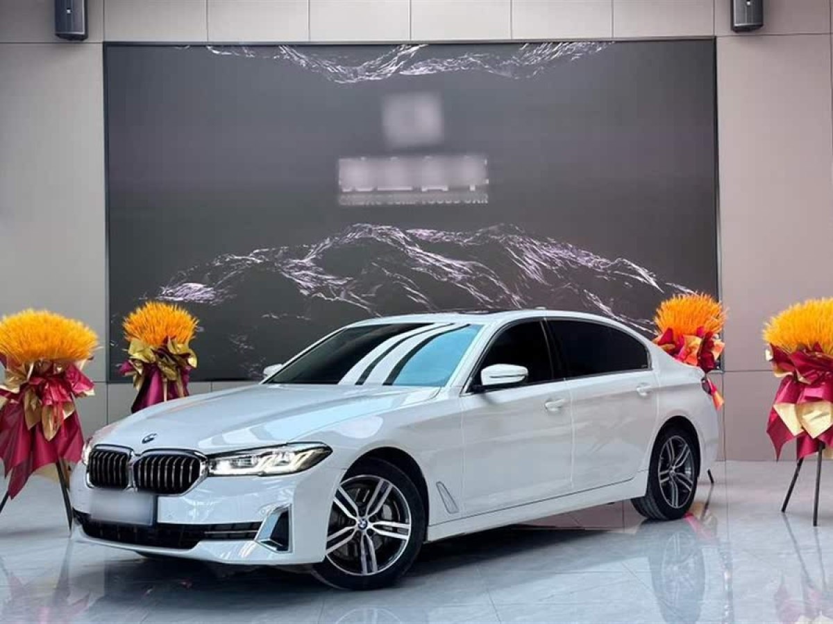 寶馬 寶馬5系  2022款 改款 530Li xDrive 豪華套裝圖片