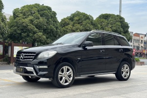 2012年6月奔驰 奔驰M级  ML 350 动感型