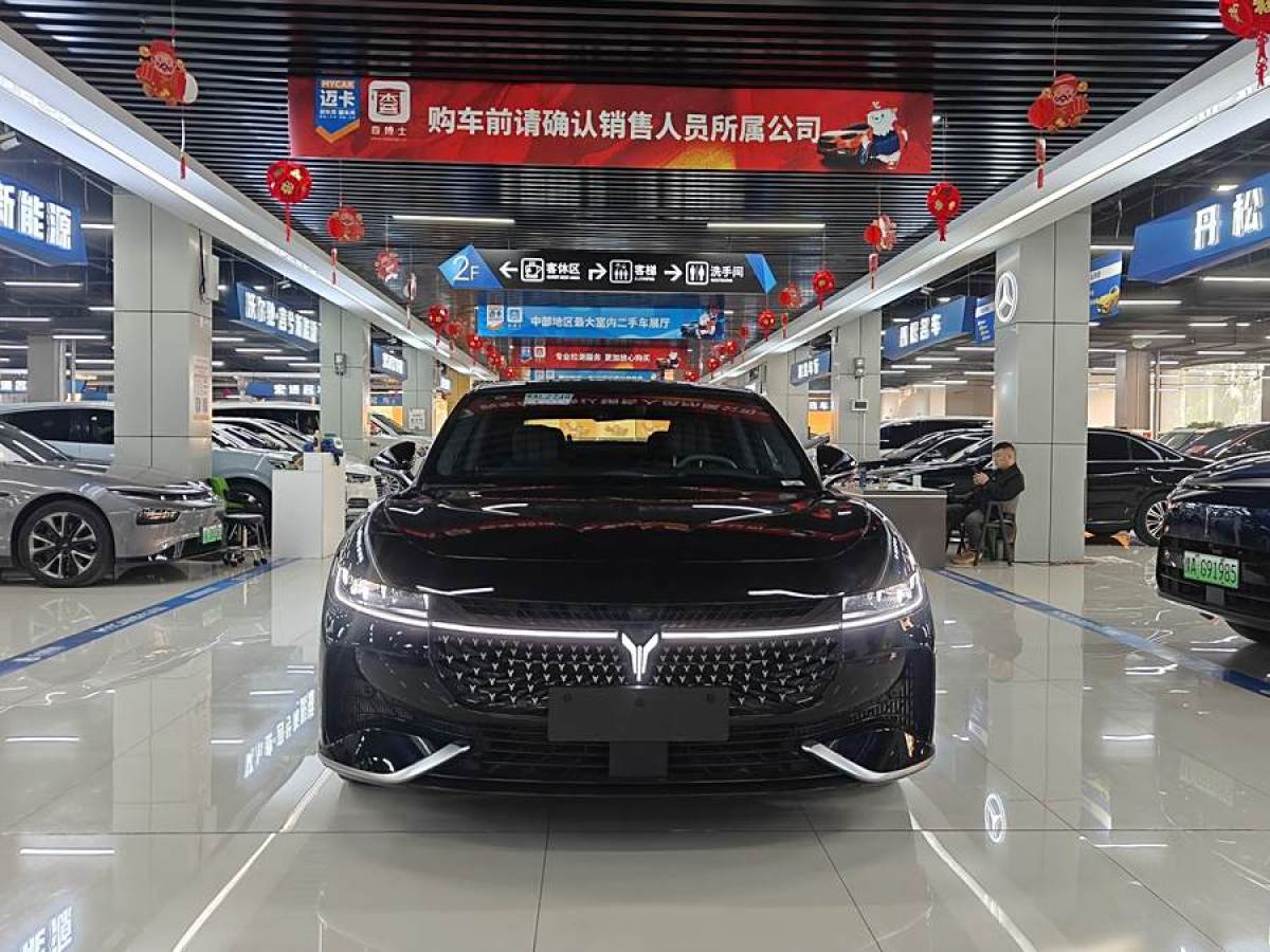 嵐圖 嵐圖追光  2024款 PHEV 四驅(qū)超長續(xù)航旗艦版圖片