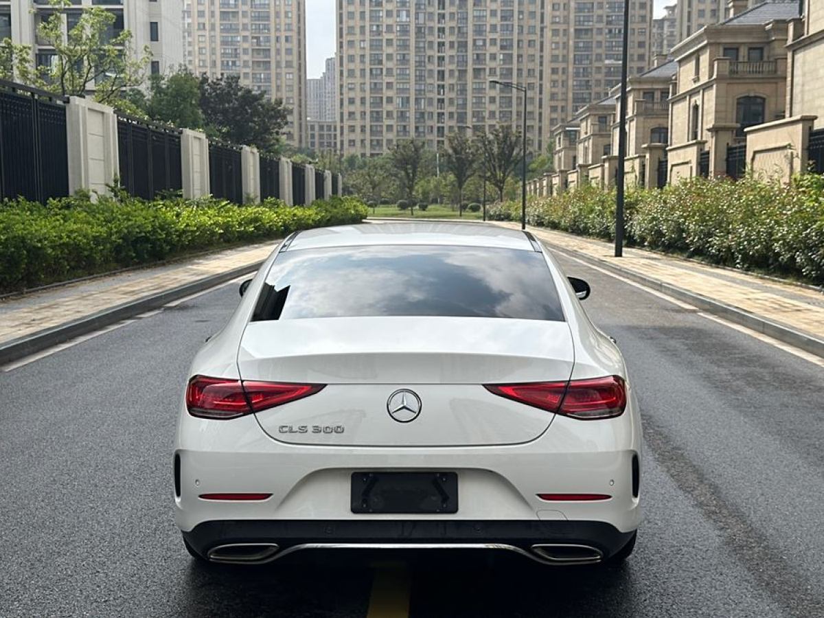 奔馳 奔馳CLS級(jí)  2020款 CLS 300 豪華型圖片