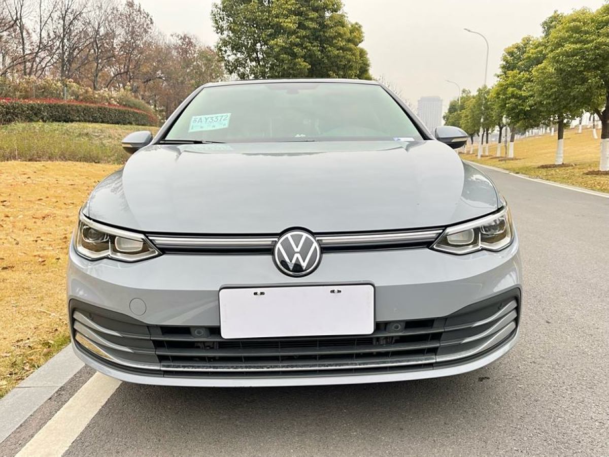 大眾 高爾夫  2021款 280TSI DSG Pro圖片