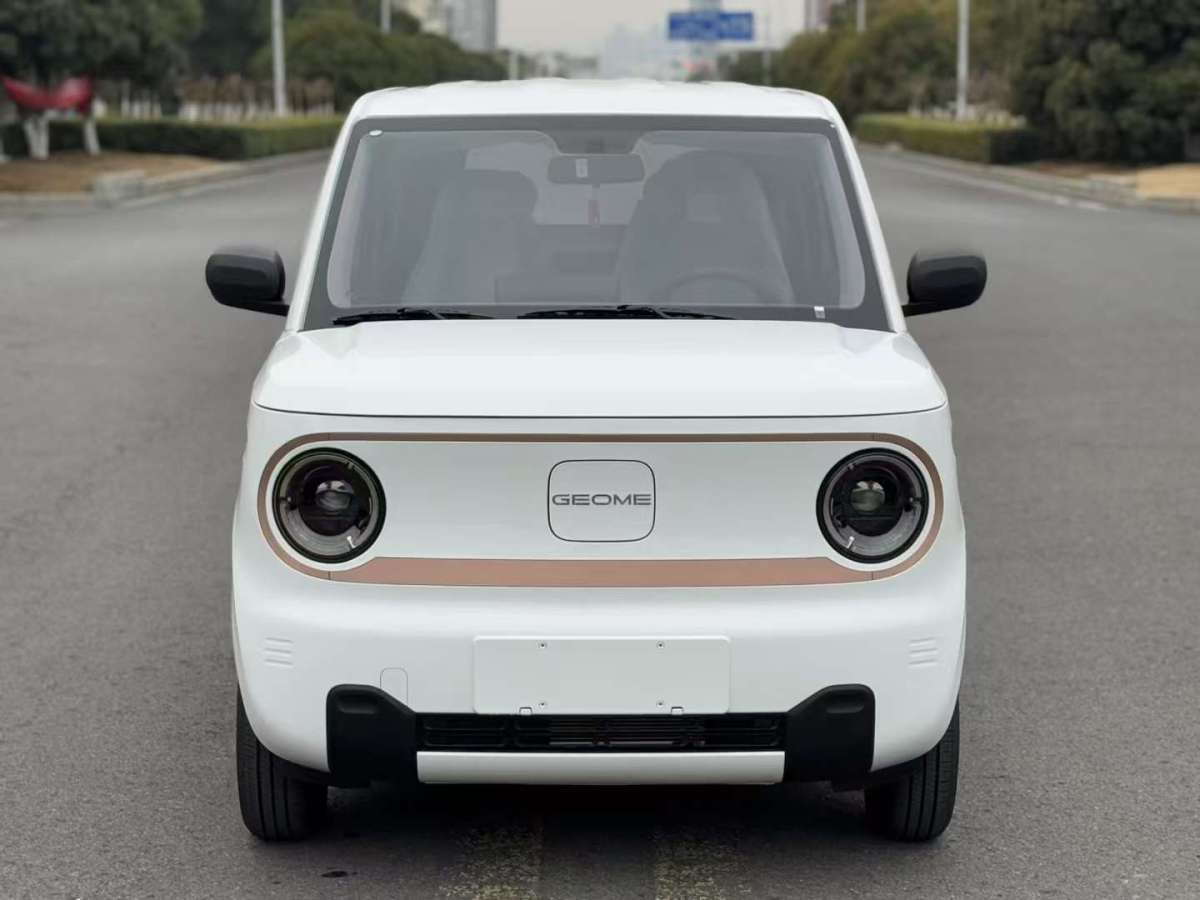 2025年02月吉利 熊貓mini  2024款 200km 熊貓卡丁