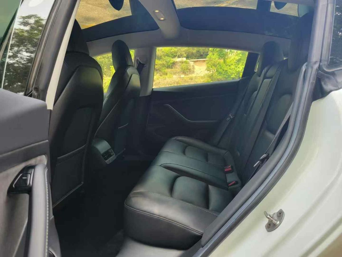 特斯拉 Model 3  2020款 標準續(xù)航后驅(qū)升級版圖片