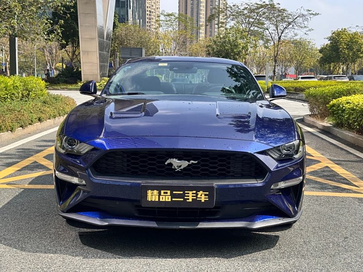 福特 Mustang  2020款 2.3L EcoBoost圖片