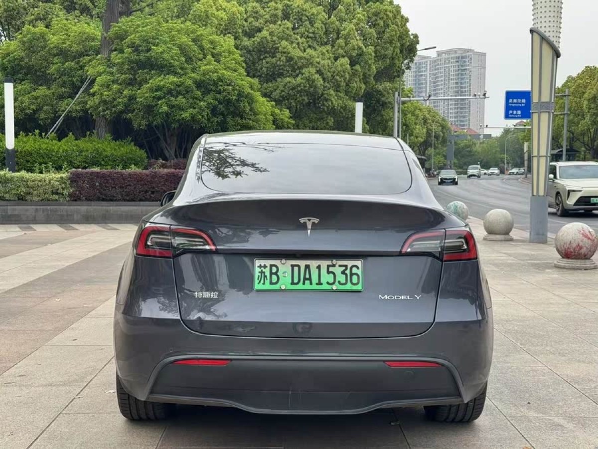 特斯拉 Model Y  2021款 標(biāo)準續(xù)航后驅(qū)版圖片