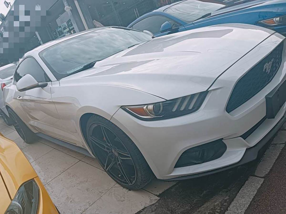 福特 Mustang  2015款 2.3T 性能版圖片