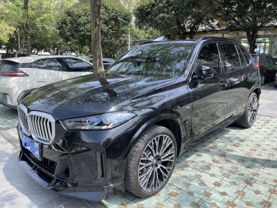 2024年6月 寶馬 寶馬X5 xDrive 40Li M運(yùn)動(dòng)曜夜套裝圖片