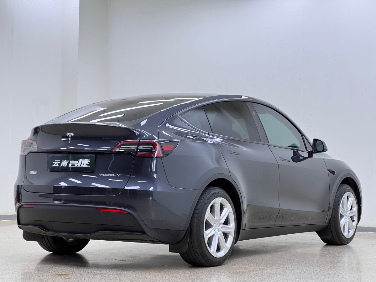 特斯拉 Model Y  2020款 改款 長續(xù)航后輪驅(qū)動版圖片