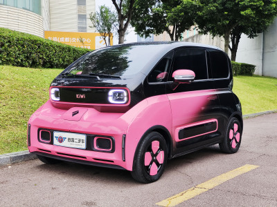 2022年9月 宝骏 宝骏KiWi EV 智潮版 磷酸铁锂图片